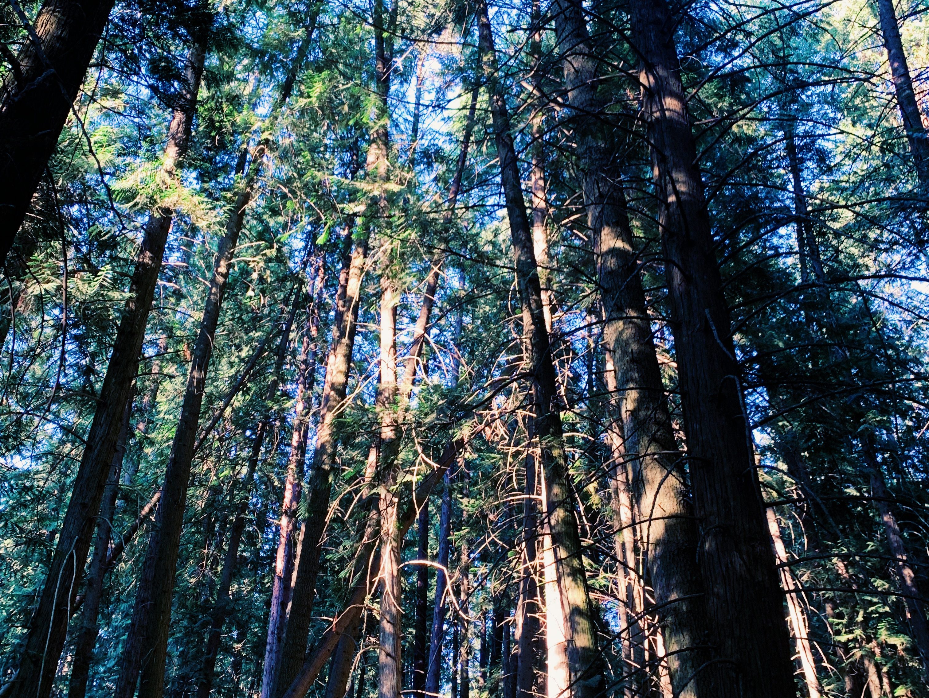 Jasmine’s Portfolio